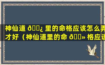 神仙道 🌿 里的命格应该怎么弄才好（神仙道里的命 🌻 格应该怎么弄才好一点）